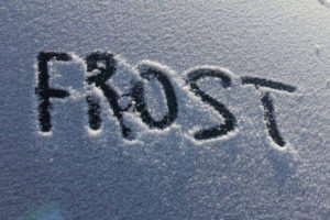 Vinter i Danmark